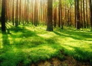 -霍勒迪绝境出击，开拓者以铁血防守提前终结广东队悬念