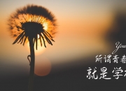 英雄联盟总决赛2025-您提出的关键词组合非常有趣—它巧妙地将足球与篮球、西班牙与美国、团队荣耀与个人表演编织在一起。这恰恰是体育最迷人的一面，看似平行的时空，却共享着同一种心跳