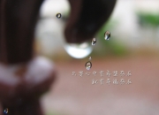 LOL赛事-门迪神级扑救终结南美风暴，贝蒂斯巅峰对决险胜委内瑞拉钢焰