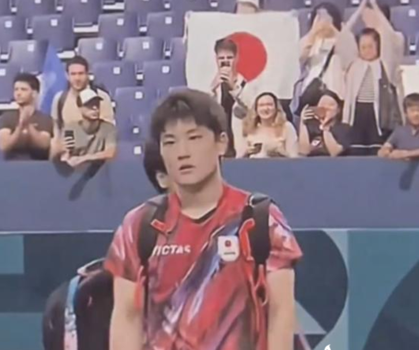 法国队险胜日本队,张本智和统治全场的简单介绍 法国队险胜日本队,张本智和统治全场的简单介绍