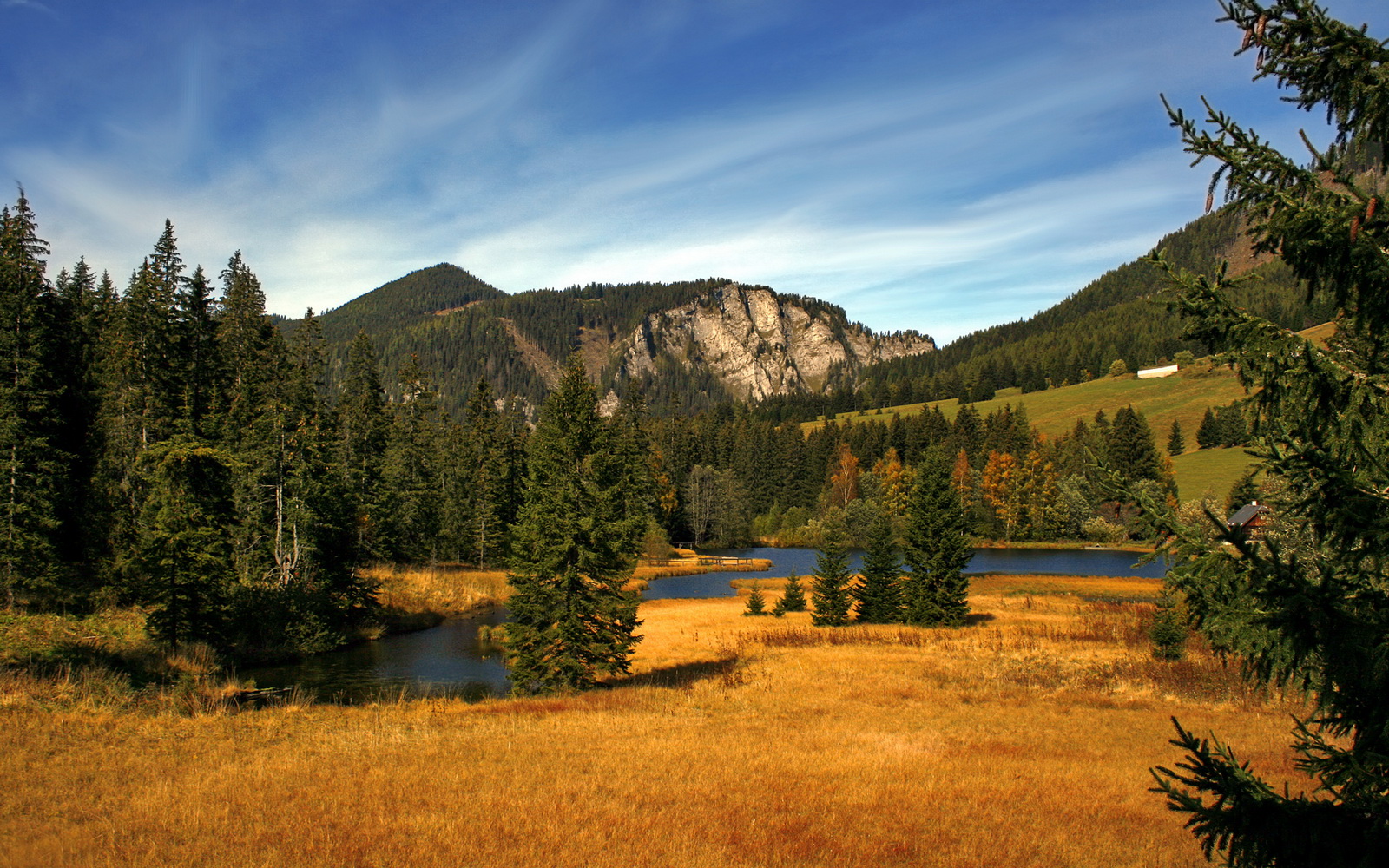 红色风暴席卷东西方,公牛狂胜浙江,贝恩欧冠统治之夜