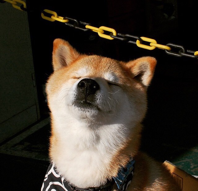 关键先生决胜时刻,拉梅洛的窒息封盖如何偷走胜利?