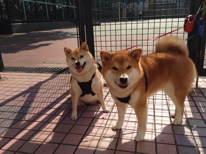 接管时刻，当拉梅洛的魔法跨越运动疆界