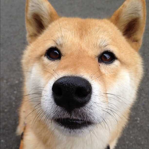 孤星炸裂焰卷费城，独行铁骑踏碎恩比德叹息