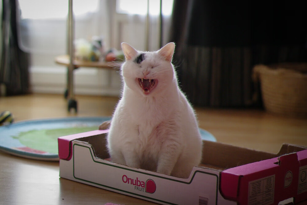 京多安导演中场艺术，曼城沉稳步伐碾过莱比锡红牛