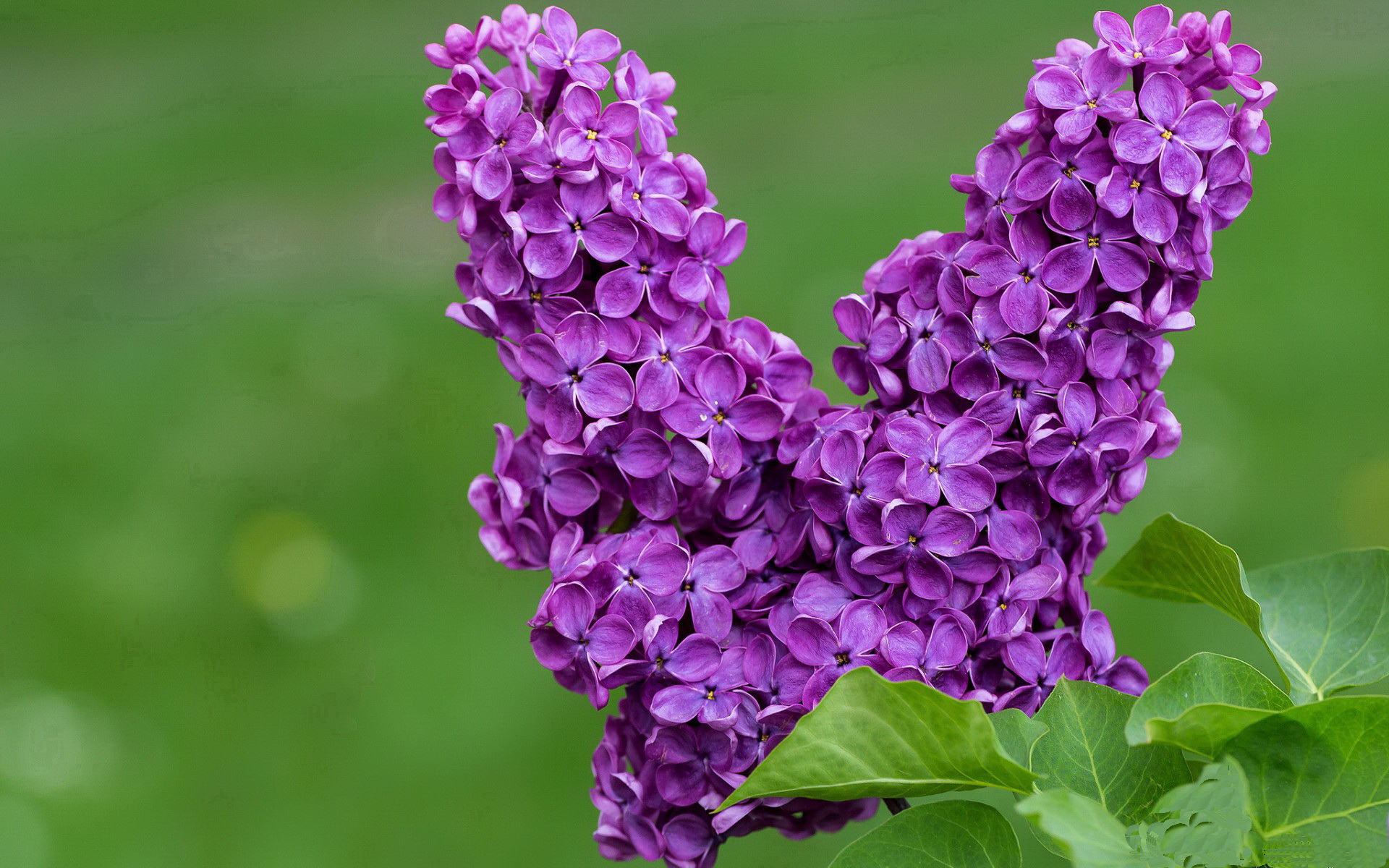 一剑光寒伯纳乌，国家德比之夜，贝林厄姆加冕新王