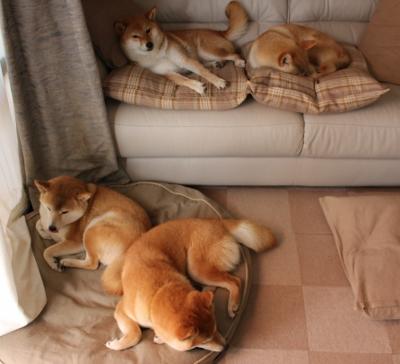 关键先生凯塞多,巴西决胜局惊险带走尼日利亚,书写唯一性传奇