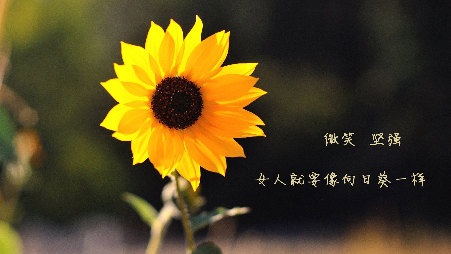 防线粉碎机！班凯罗48分打崩国王，鹈鹕迎来质变之战