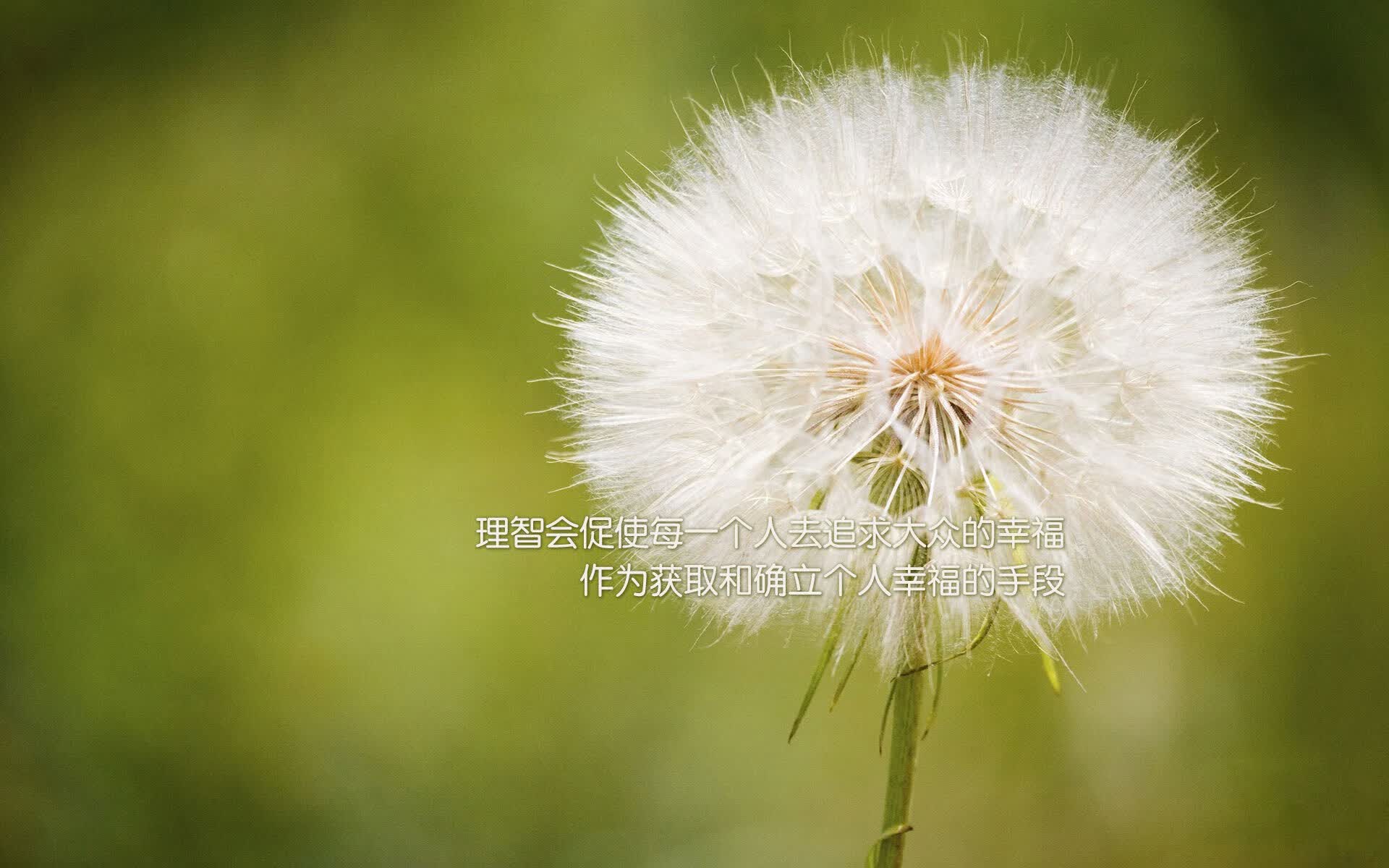 荣耀与悲鸣，佩德里91分钟绝杀，阿根廷复仇克罗地亚，书写世界杯唯一剧本